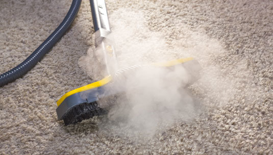 Steam Extraction Carpet Cleaning