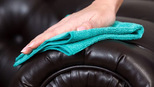 Professional Upholstery Cleaning Professional Upholstery Cleaning