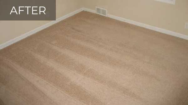 This image shows a carpet after it was profesiionally cleaned.