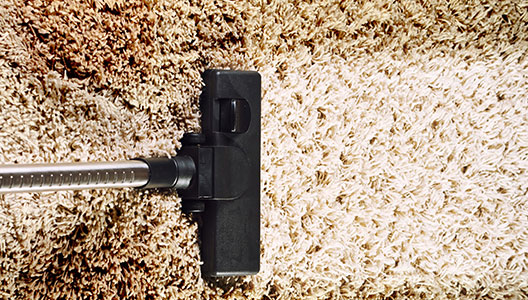 This image shows a vacuum machine being prepared to clean the carpet.