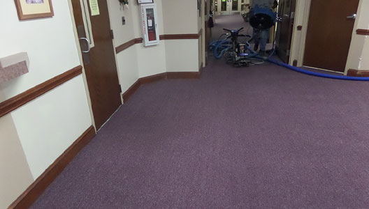 This image shows a carpet in a hospital that is being cleaned.