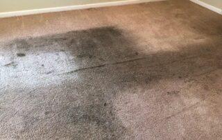 This image shows a stained dirty carpet.