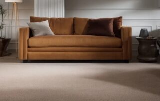 This image shows a living room with carpet that has been cleaned.
